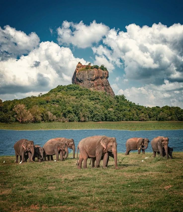 Sigiriya Surroundings